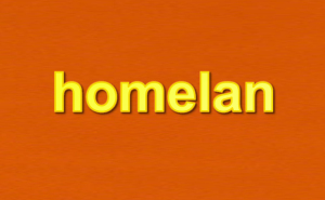 HOMELAN (XINGNING) ELECTRICAL CO., LTD.